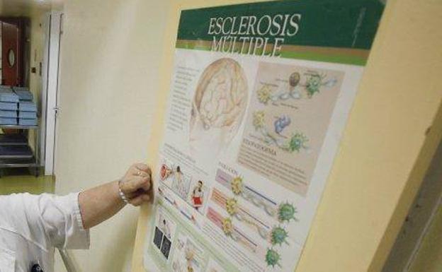 perdida de peso con esclerosis multiple perdida de peso con esclerosis multiple